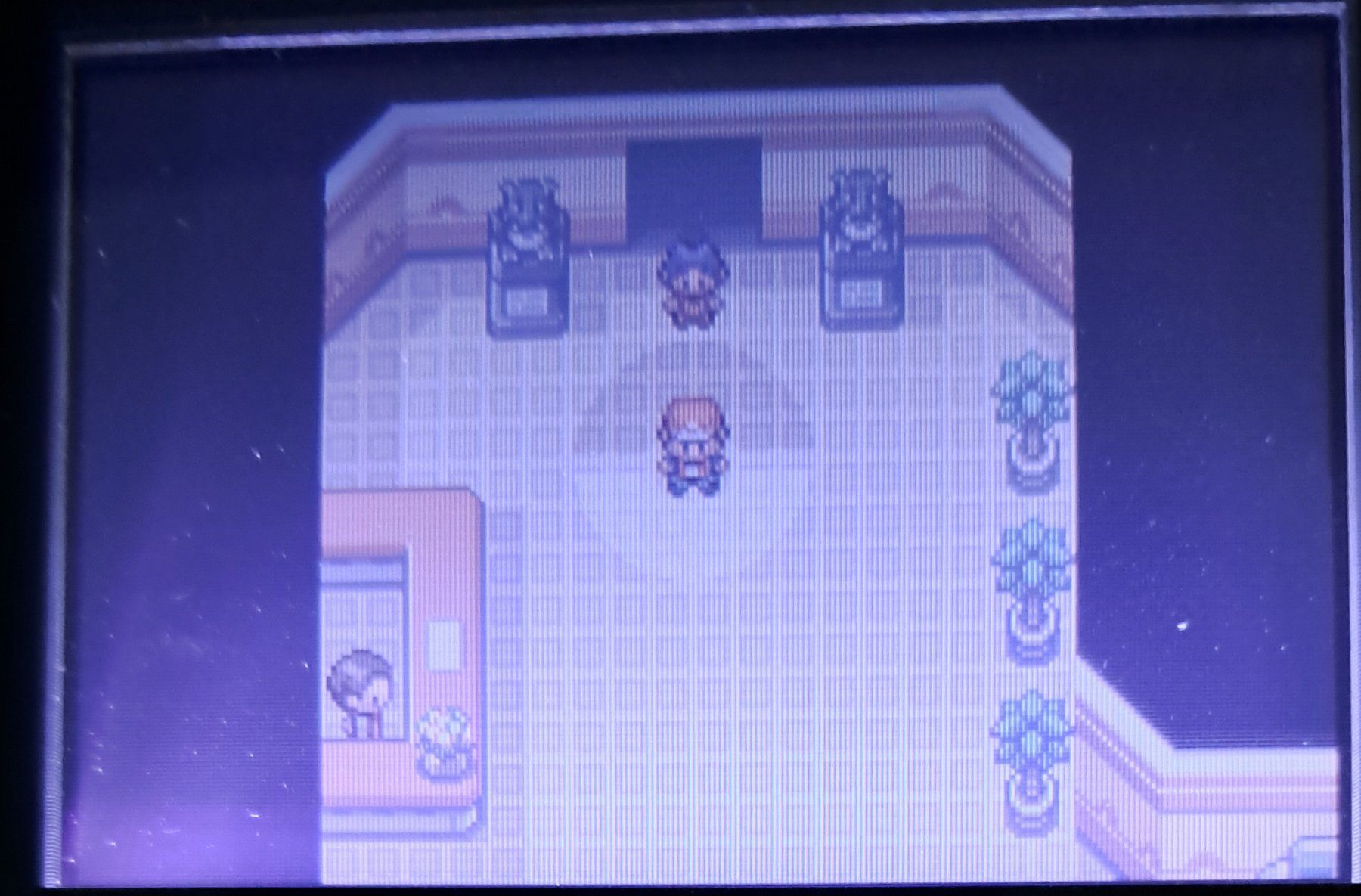 Nintendo Giochi: Pokemon Rosso Fuoco Game Boy Advance – Usato da urdorf venduto da Boo24 6