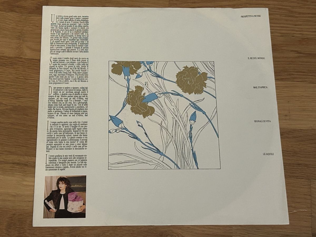 Dischi in vinile: Alice. 1985. Gioielli Rubati – Usato da Faulensee venduto da Mizuno06 2