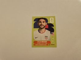 FIFA WM 2026 Cristian Roldan USA 11