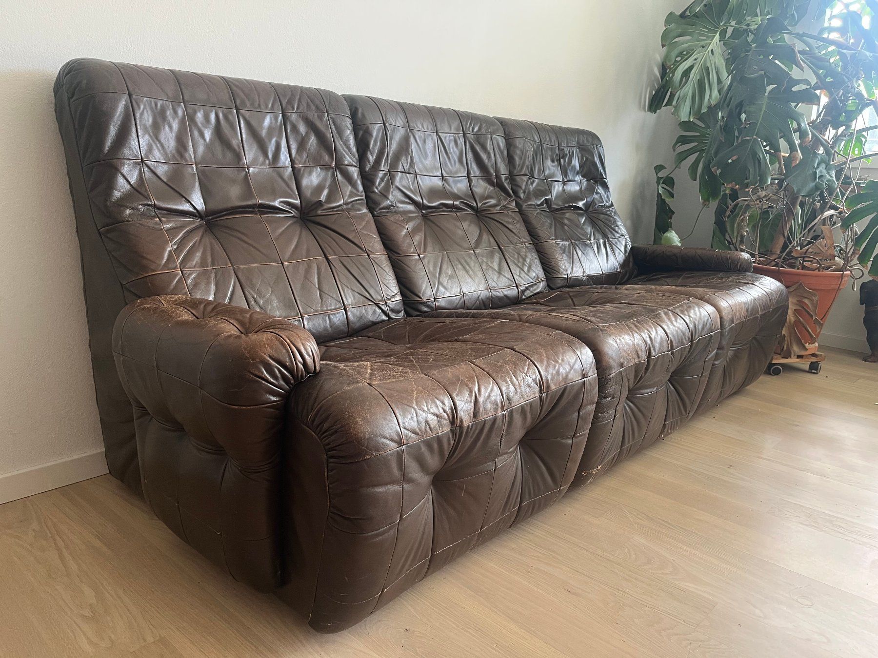 Divani: Schweizer Design Ledersofa, Vintage, De Sede-Aera – Usato da Thalwil venduto da schlluka 2