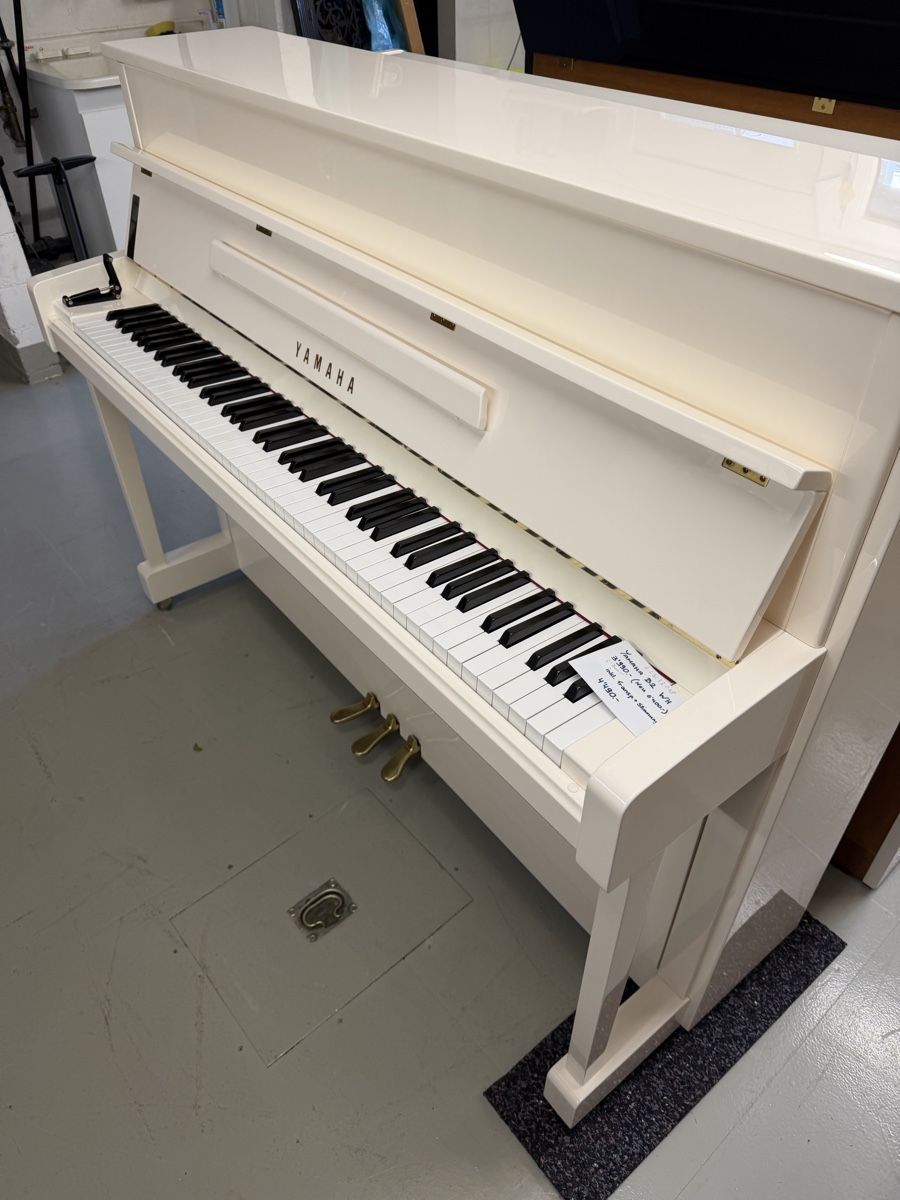 Yamaha Strumenti musicali: Yamaha B2 PWH – Usato da Niederhasli venduto da Musikhaus-Ammann 2