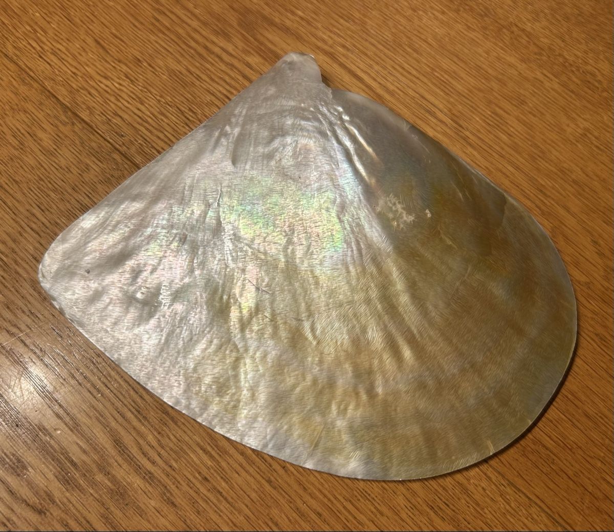 Tutte le decorazioni: Perlmutt Schale graviert  – Usato da Lengnau AG venduto da m5f1r9 2
