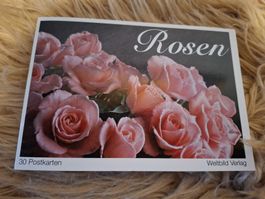 Vintage Postkarten buch Rosen 30 Karten komplett Weltbild
