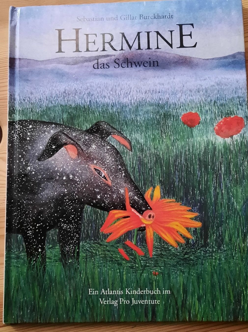 Libri: ***HERMINE DAS SCHWEIN*** Bilderbuch – Usato da Wädenswil venduto da H2H_Secondhandshop 2