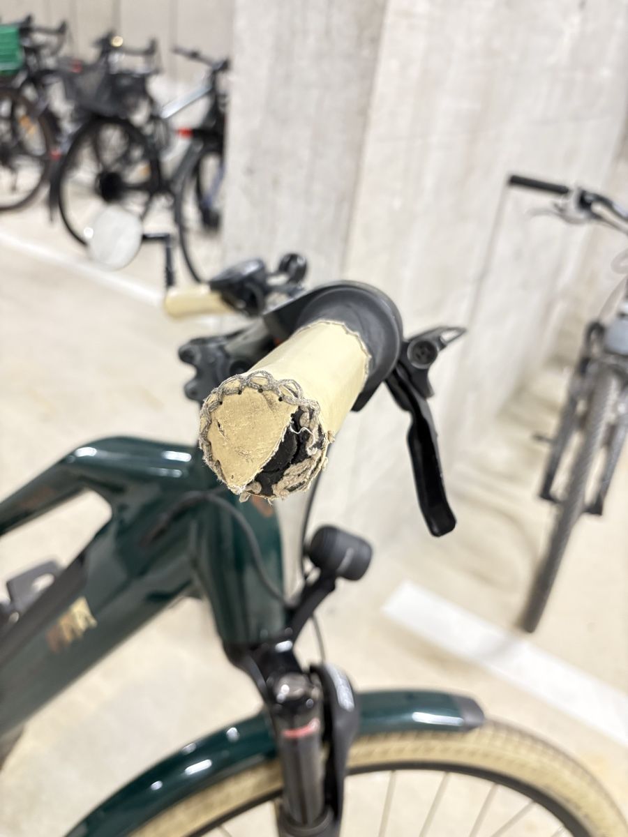Veicoli elettrici: Cresta e-Corso Neo+ 45kmh (Pedelec) Rahmegrösse M – Usato da Basel venduto da Gumpesel1 3