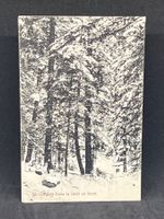 St. Cergues: Dans la forêt en hiver