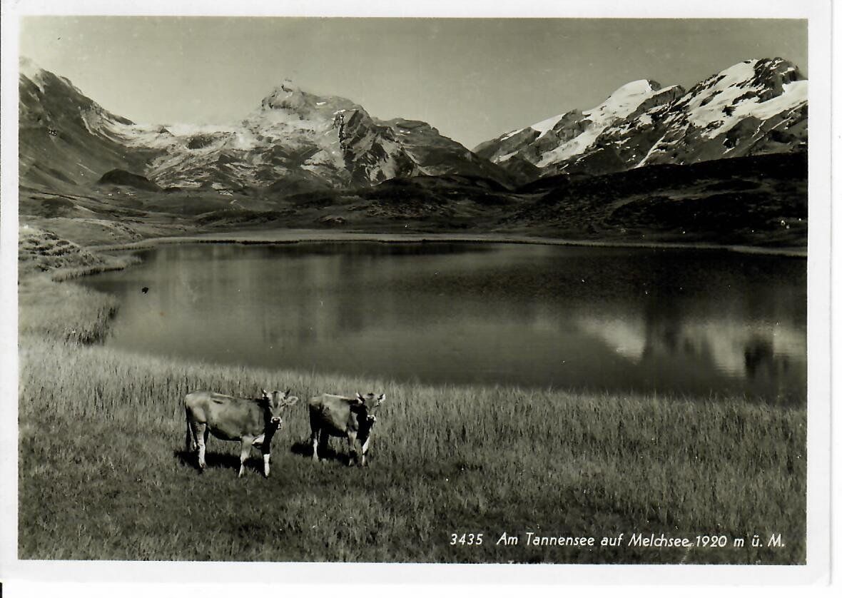 Cartoline postali: am Tannensee auf Melchsee 1946 – Usato da Hochdorf venduto da Ziegel-16
