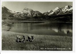 am Tannensee auf Melchsee 1946