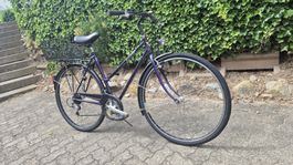 Velo