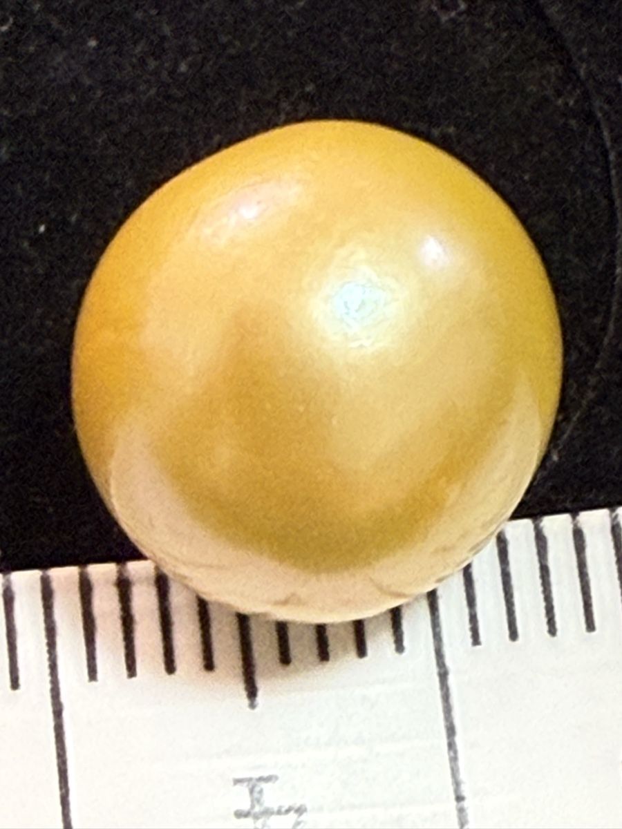 Perle (finte): Echt Südsee Perlen Goldener Farbe – Nuovo (secondo la descrizione) da Oberhof venduto da RealStone 1