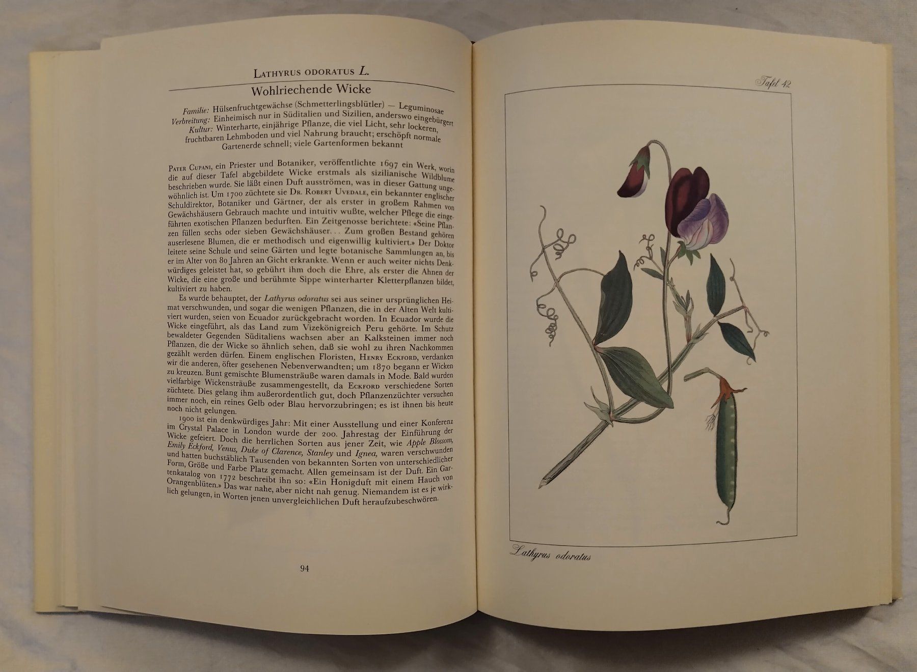 Libri: Curtis' Wunderwelt der Blumen - Buch mit 120 Tafeln – Usato da Bellach venduto da JingleJerry 5