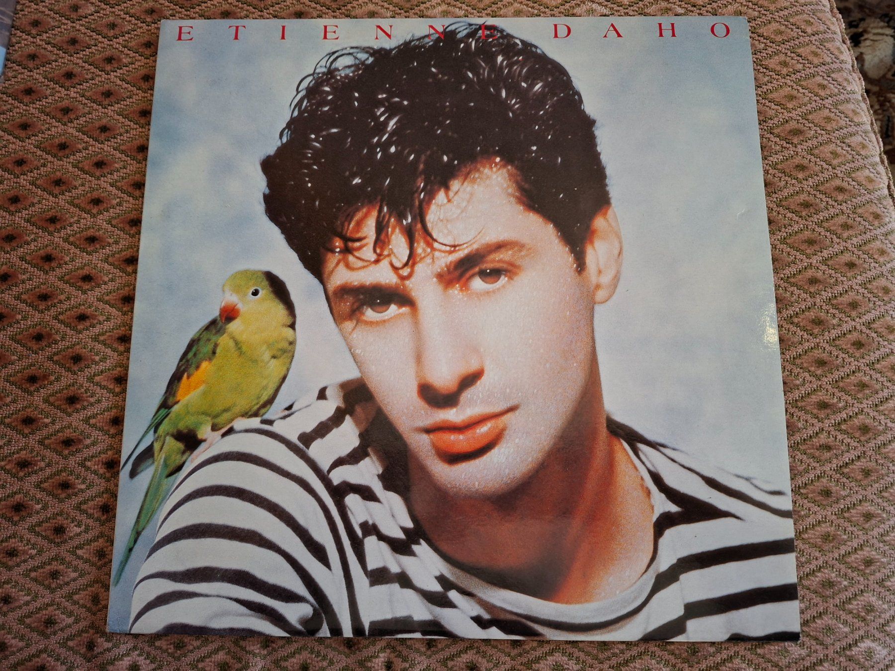 Vinyles: French Pop Rock - Etienne Daho - La Notte, La Notte...- E – D'occasion à Bernex par Wannabehasbeen01