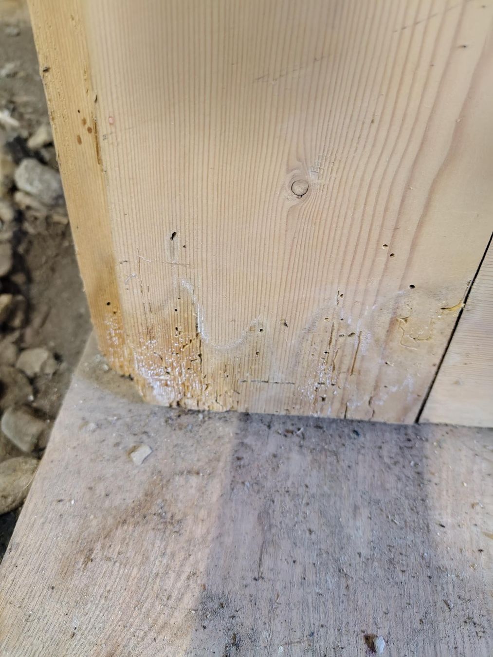 Porte: Holztür – Difettoso da Cazis venduto da jaiyen 3