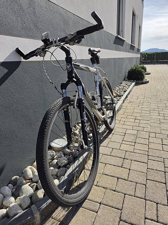 Velos: Bicicletta in ottimo stato  – Gebraucht aus Ligornetto von lis_5hn7 1