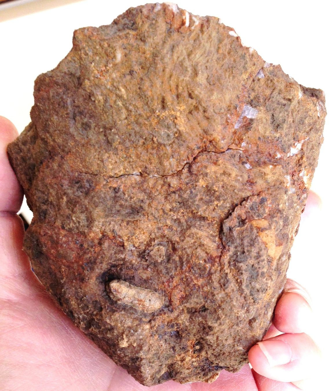 Minerali & Pietre curative: géode d'améthyste brute avec stalagmites du maroc – Usato da Vevey venduto da zabounetta 9