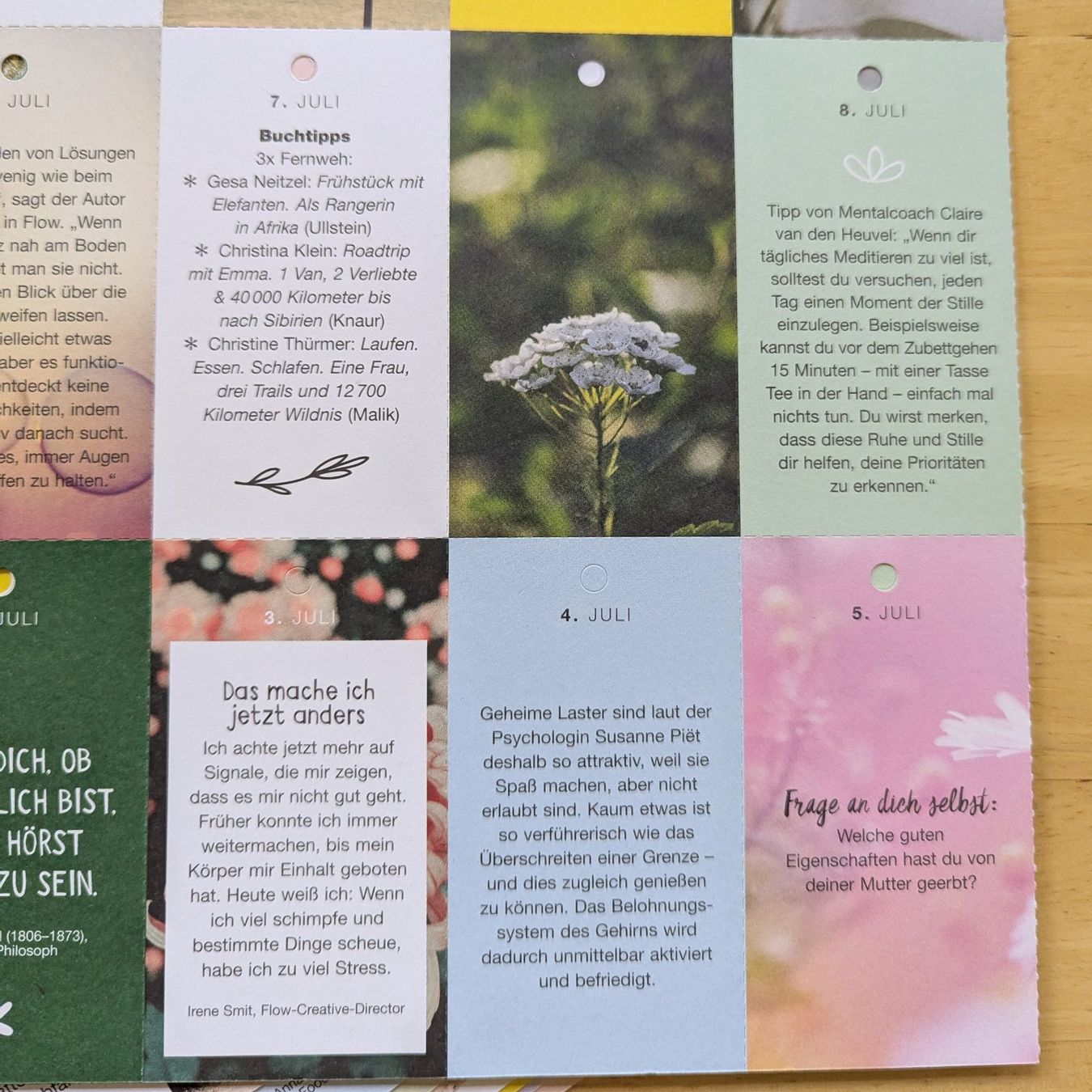 Kalender: FLOW 365Tage Kalender – Neu (gemäss Beschreibung) aus Bertschikon Gossau von Tokibunny 4