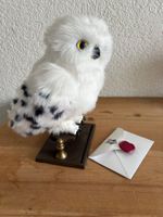 Interaktive Eule Harry Potters Hedwig inkl Brief