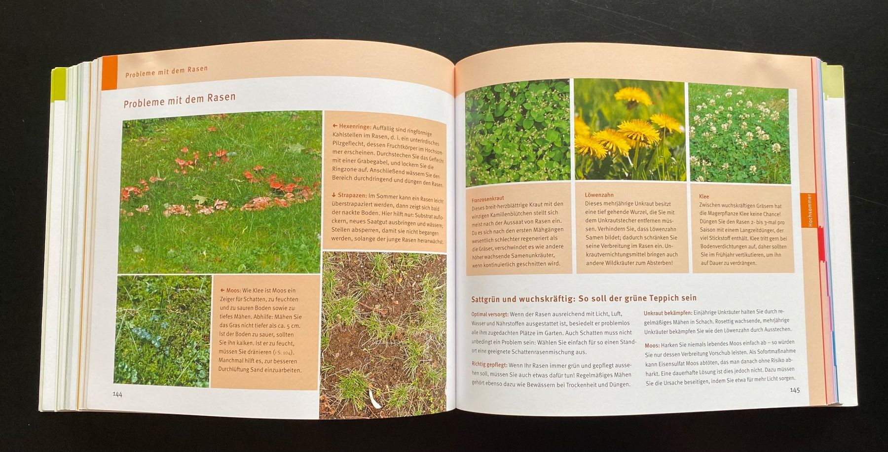 Libri: DAS GARTENJAHR – Usato da Nussbaumen AG venduto da schuba2000 5