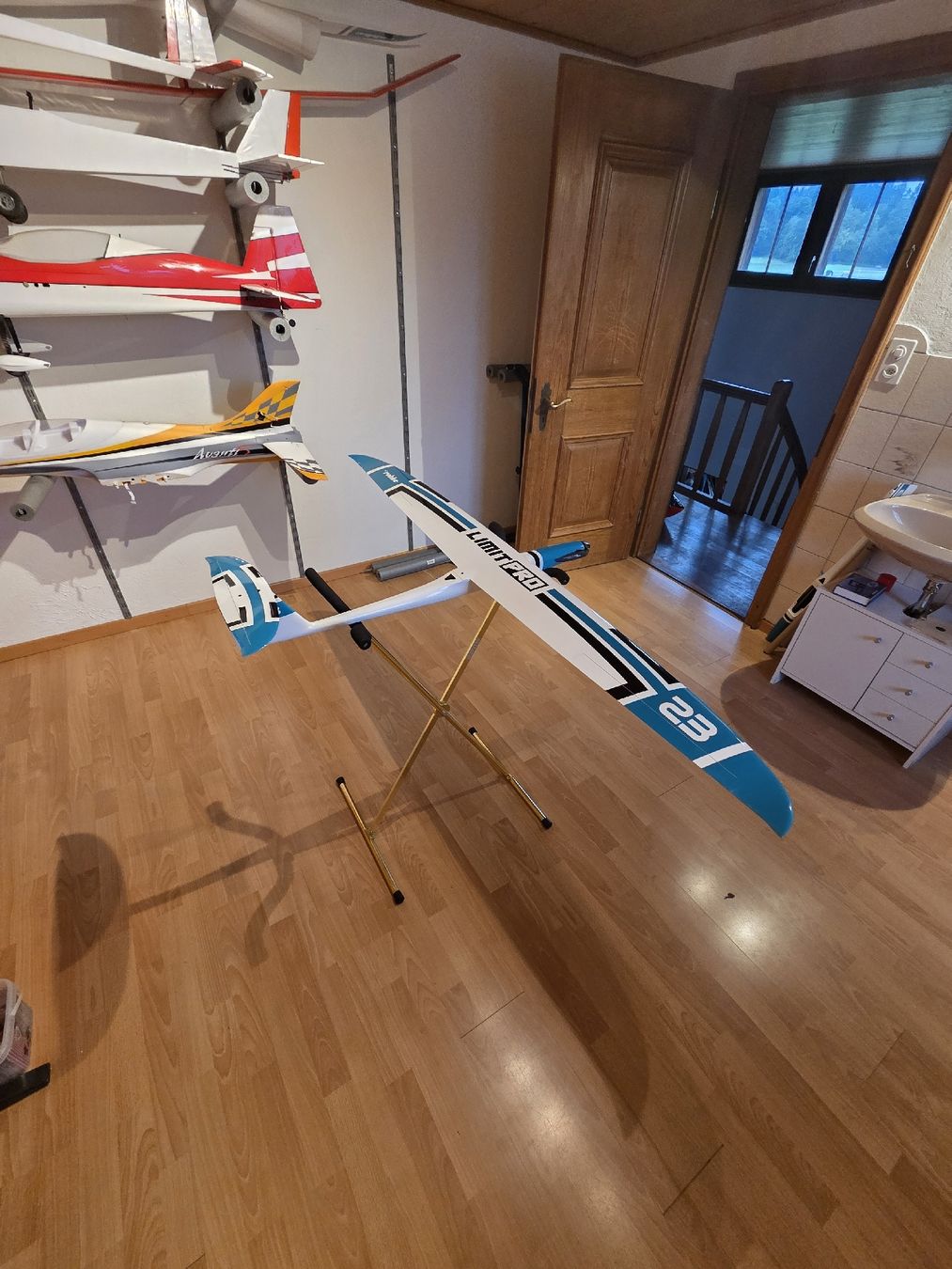 Robbe Modellismo RC: Robbe Limit Pro mit Leomotion Motor – Usato da Besenbüren venduto da oli_6ts9 3