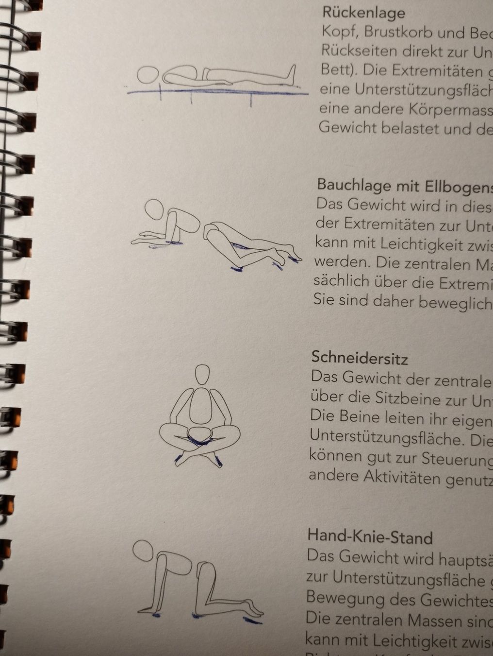 Libri: Kinästetics-Konzeptsystem, Porto 2 – Usato da Ostermundigen venduto da Dinge1 4