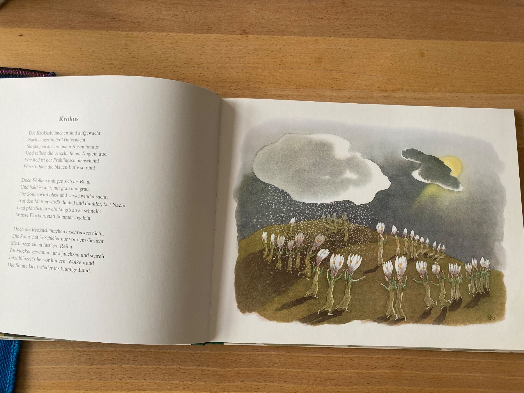 Libri: Alpenblumenmärchen Ernst Kreidolf – Nuovo (secondo la descrizione) da Landschlacht venduto da Ajee2 2