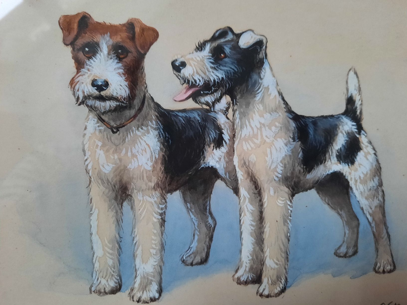 Gemälde: TABLEAU, SOUS-VERRE. " 2 FOX-TERRIER " – Gebraucht aus Le Locle von marylise01 2