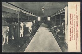Filisur, Écurie de Monsieur P. Lorenz, 