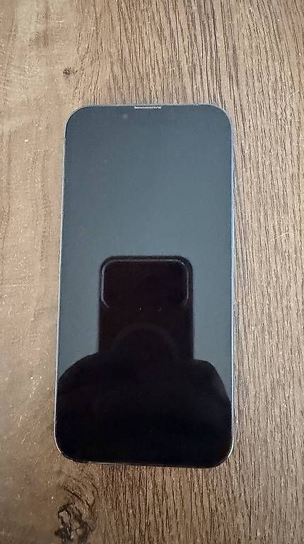 Telefoni cellulari / Smartphones: iPhone 13 Pro 250 GB – Usato da Bonstetten venduto da gab_n6fb