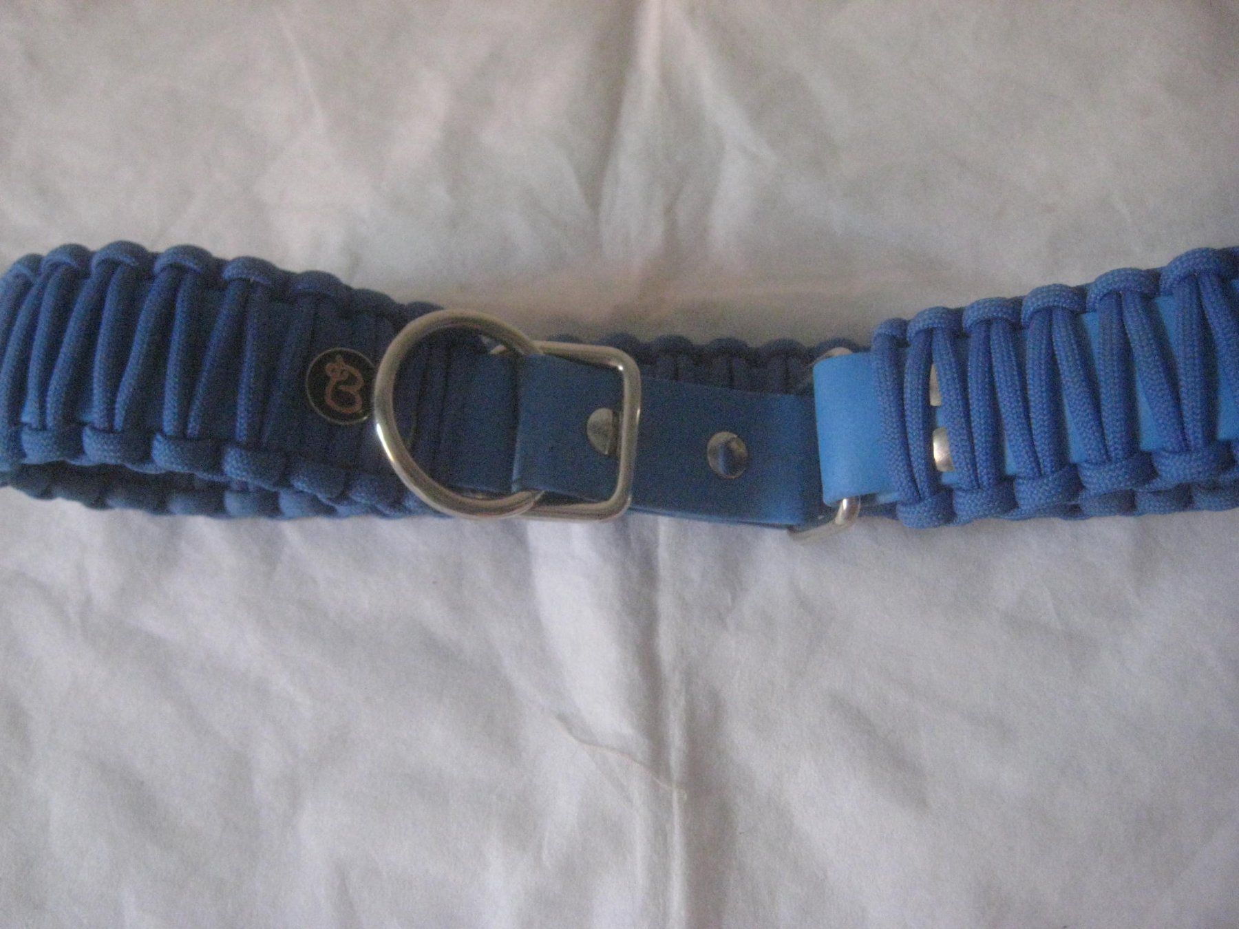 Collier et laisse: HUNDE HALSBAND – Neuf (Voir description) à Uster par flocke1 1