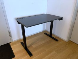 YAASA Desk Lite - höhenverstellbar + Kabelkanal (NP CHF 418)