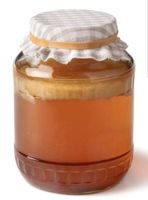 Bio Kombucha Scoby (ohne Mikroplastik)