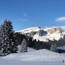Profile image of Berneroberlaender