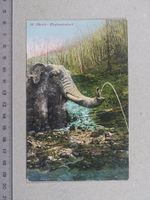 Zürich, 1919, Elephantenbach, Poststempel Sihlfeld