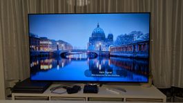 LG TV 55 Zoll, Fernseher. 