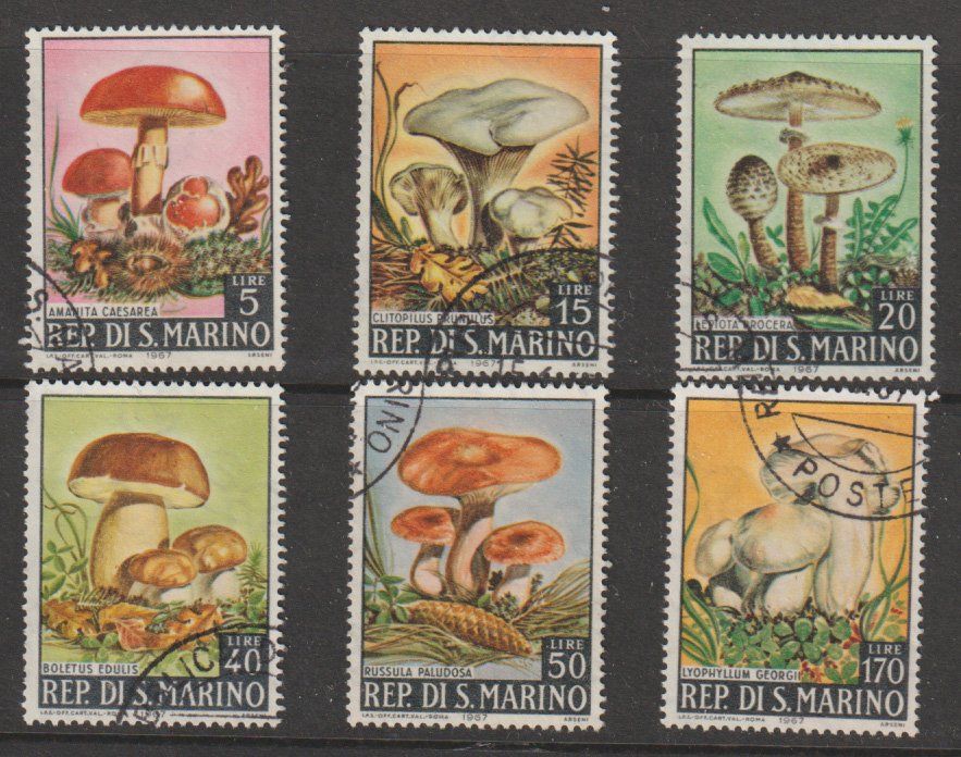 Collection De 100 Timbres Sur Le Thème Des Champignons - Pour Philatélistes Et Collectionneurs - Qualité Prophila