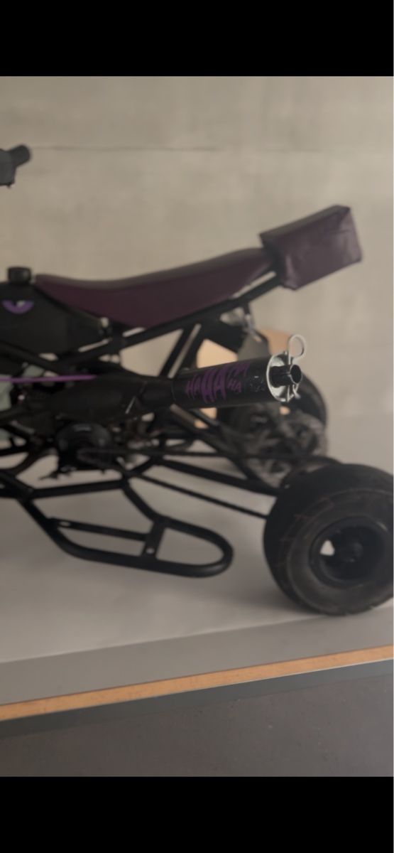 Mini Quad: Mini Quad – Usato da Bellmund venduto da Angel087 3