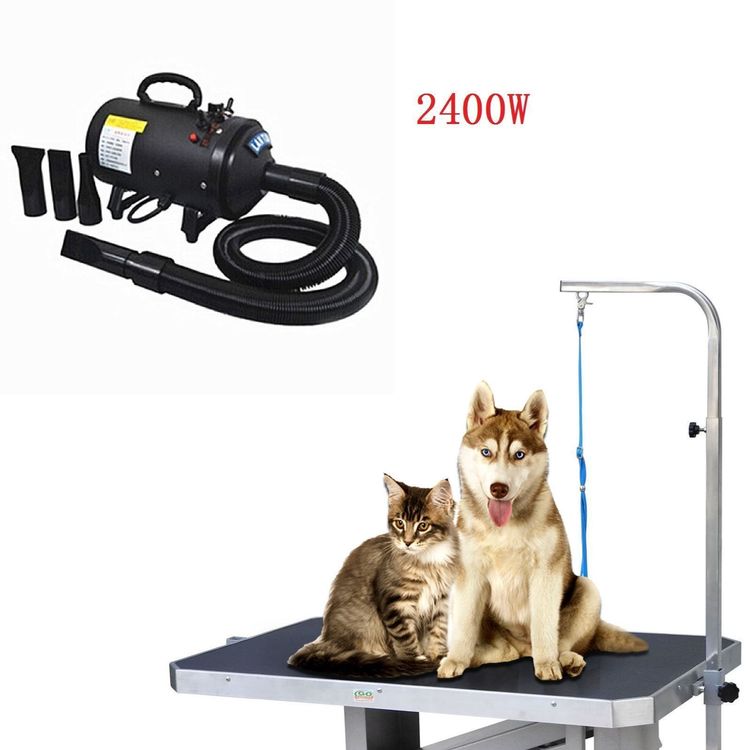 Hundetrockner Box - Tragbare Fellpflege Kabine 50x50x50cm, Anti Haare Fliegen, Für Hunde & Katzen