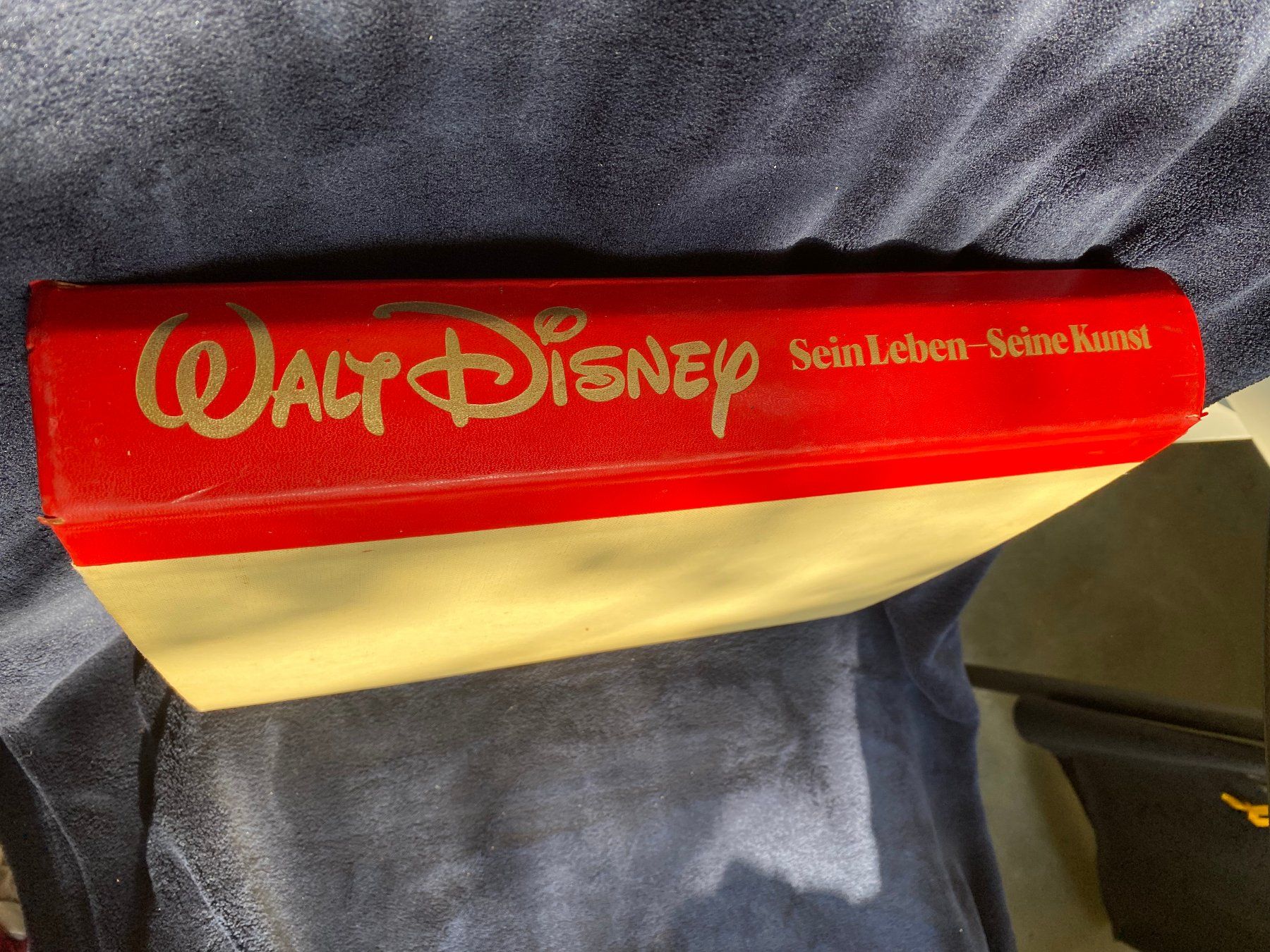 Libri: Walt Disney Sein Leben Seine Kunst – Usato da Zürich venduto da Pyramid1 1