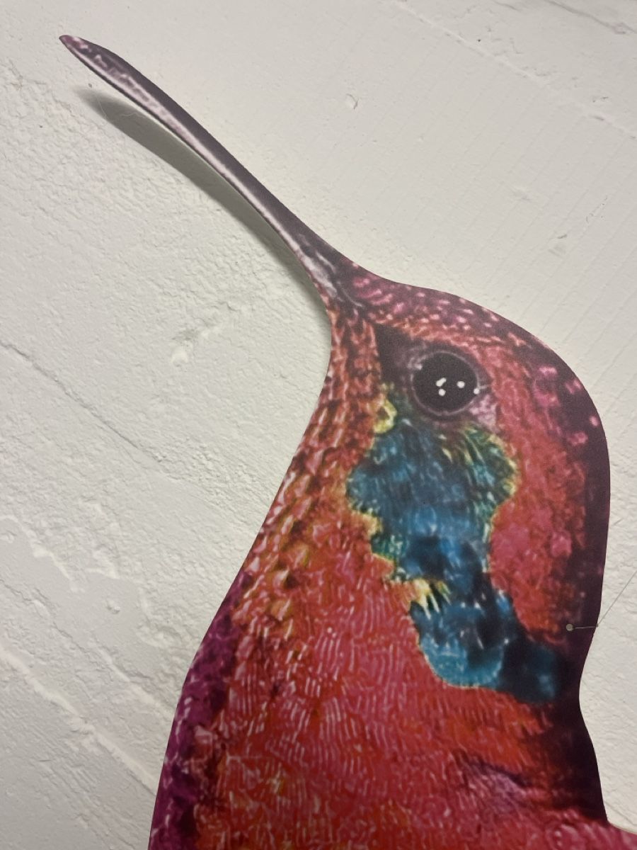 Foto & Immagini: 2 grosse Kolibris Wandbilder Deko – Usato da Bellach venduto da jba03 4