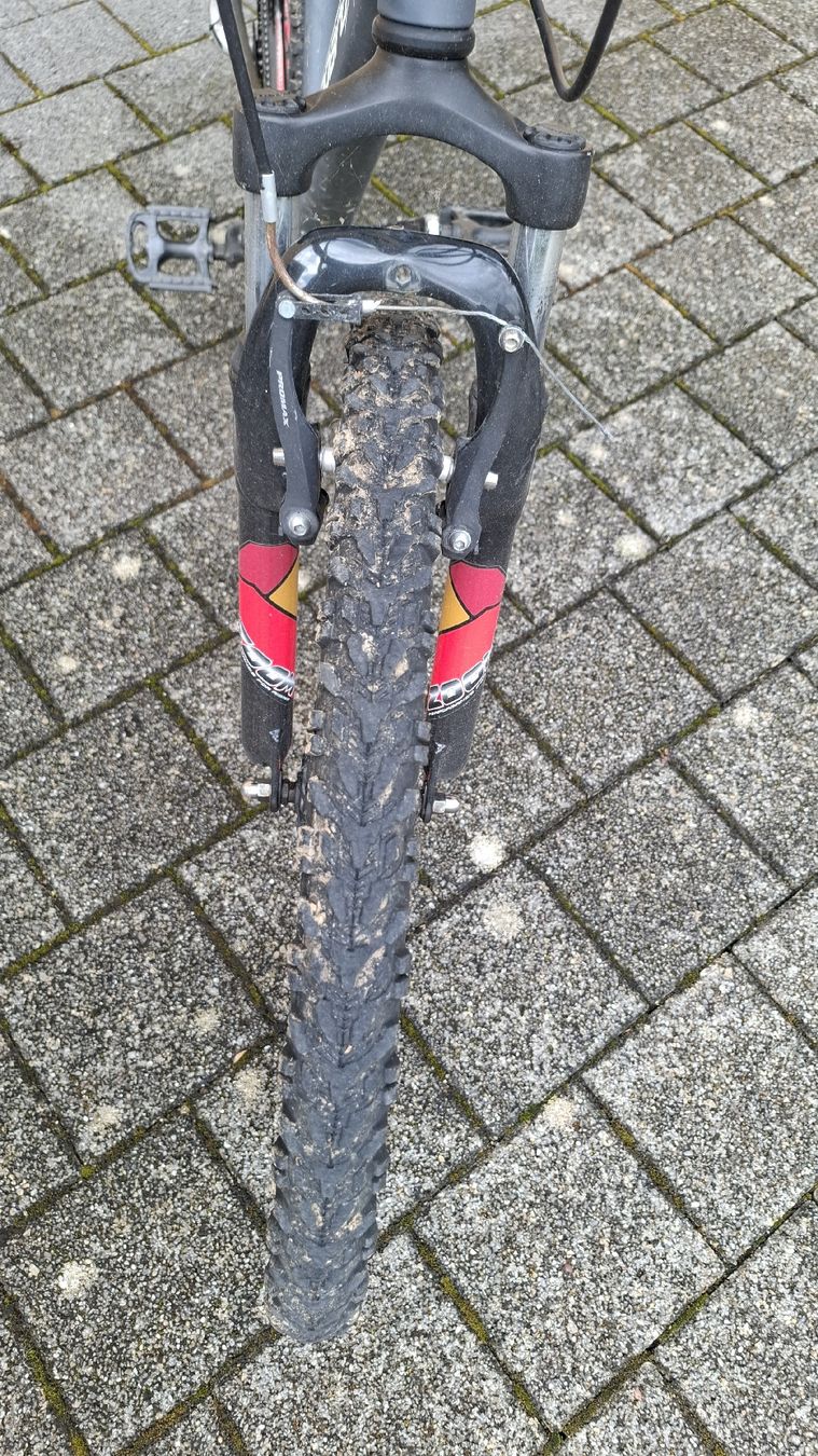 Leopard Biciclette: Kindervelo – Usato da Riedern venduto da Lukas426 5