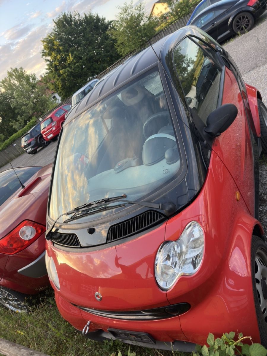 Smart Automobili: 2x Smart ForTwo  – Usato da Hombrechtikon venduto da RPFOliveira 1