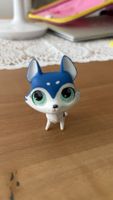 Littlest pet shop Navy blue husky dog #2891