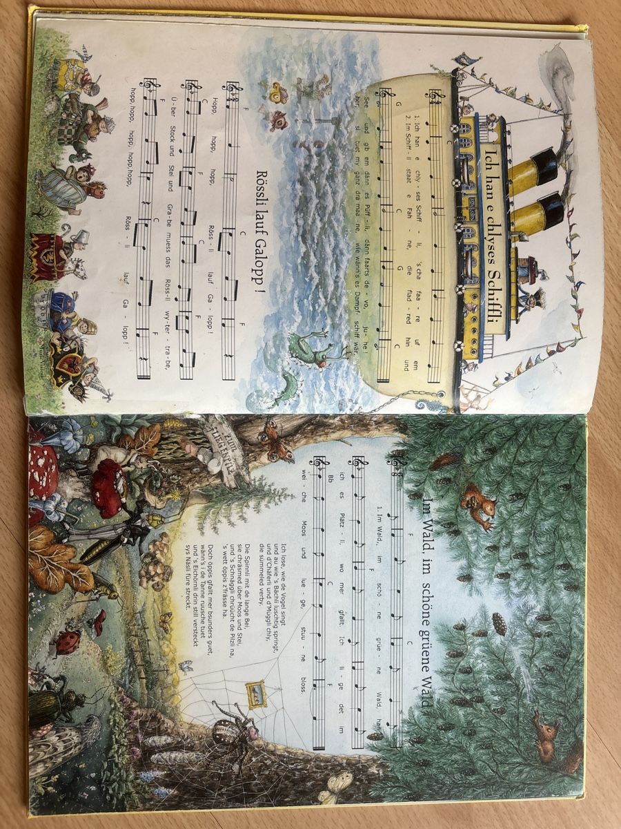 Bücher: Schweizer Kinderlieder: D'Zyt isch da! 🎶 Buch – Gebraucht aus Zermatt von Tinasvoyage 5