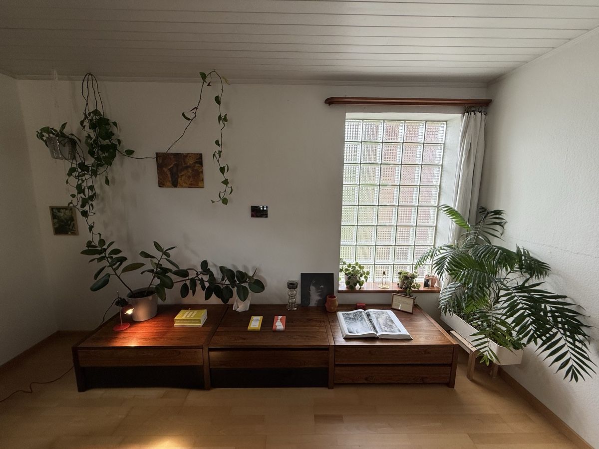 Cassettiere: Mid Century Modern Palisander Lowboard – Usato da Luzern venduto da wid_fs7f 2