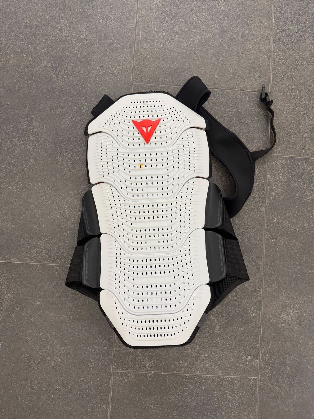 Dainese Protezioni & Imbottiture: Dainese Manis Back Protector – Usato da Herrliberg venduto da ton_xgs8