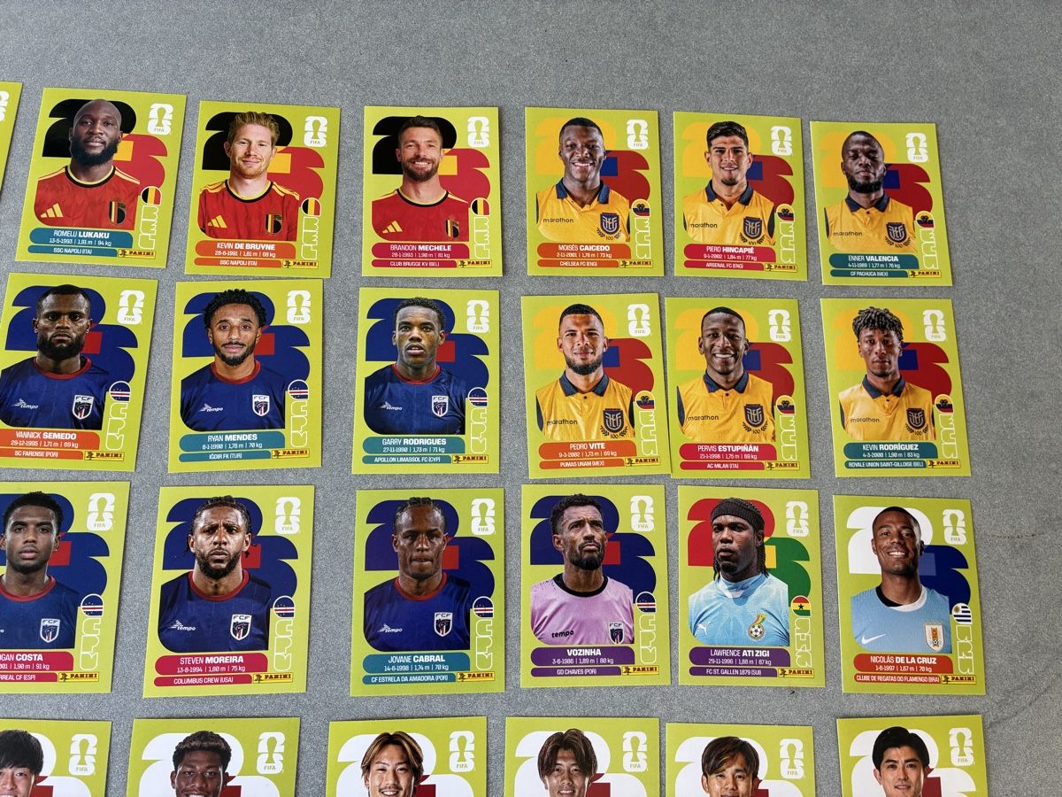 Panini Carte collezionabili: Panini WM 2026 Sticker Konvolut – Usato da Emmen venduto da paesu6 3