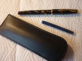 Parker Insignia Patronenfüller  Füllfederhalter  marmoriert