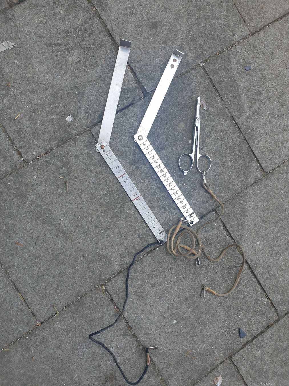 Angelruten: Fisch-Massband Set mit Schere, Top Zustand! – Gebraucht aus Mittelhäusern von krasty02 1