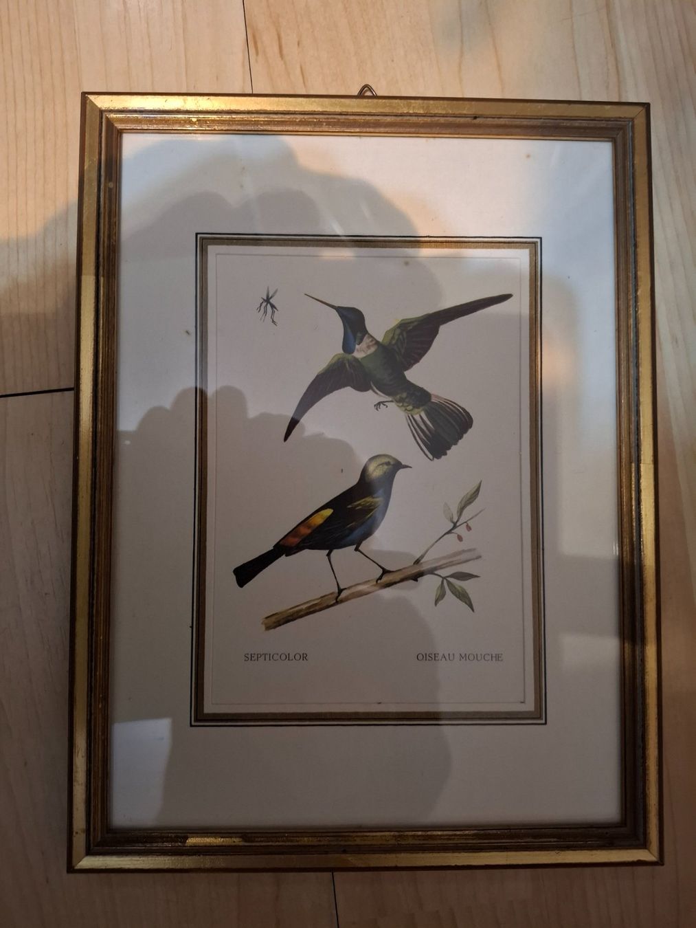 Gravures: Stich – D'occasion à Oberwil BL par Giwa 1
