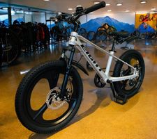 neues 20 Zoll Mountainbike Alu Rahmen Magnesium SILBER NEU
